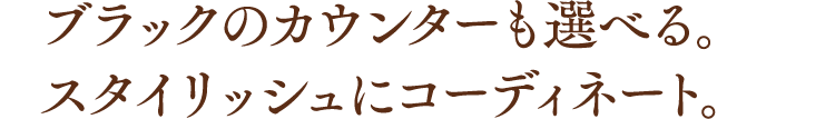 ブラックのカウンターも選べる。スタイリッシュにコーディネート。