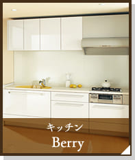キッチン　Berry