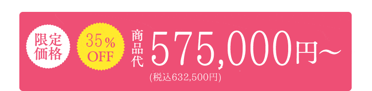 限定価格　40%OFF　530,000円~